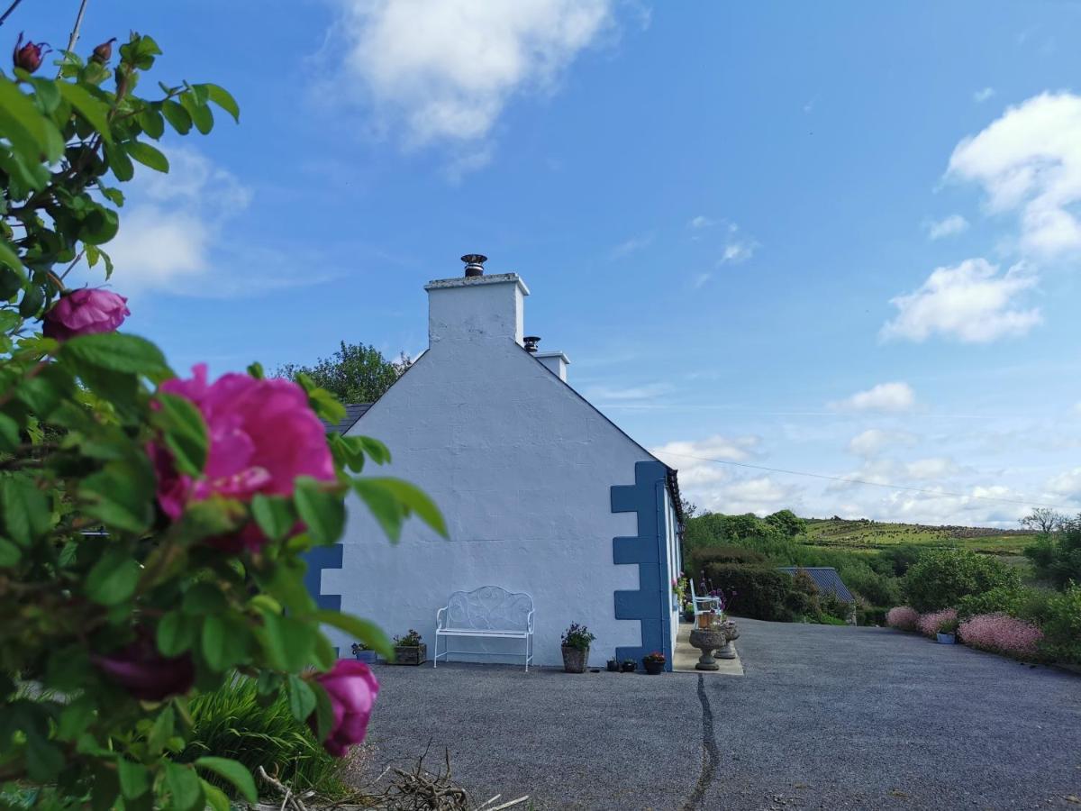 New Listing - Ladybird Cottage - Donegal - Wild Atlantic Way Donegal Town Exterior photo